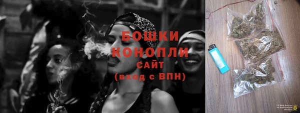 стафф Кулебаки