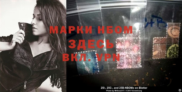 стафф Куйбышев