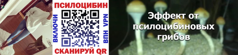 Псилоцибиновые грибы Psilocybine cubensis  Новороссийск 
