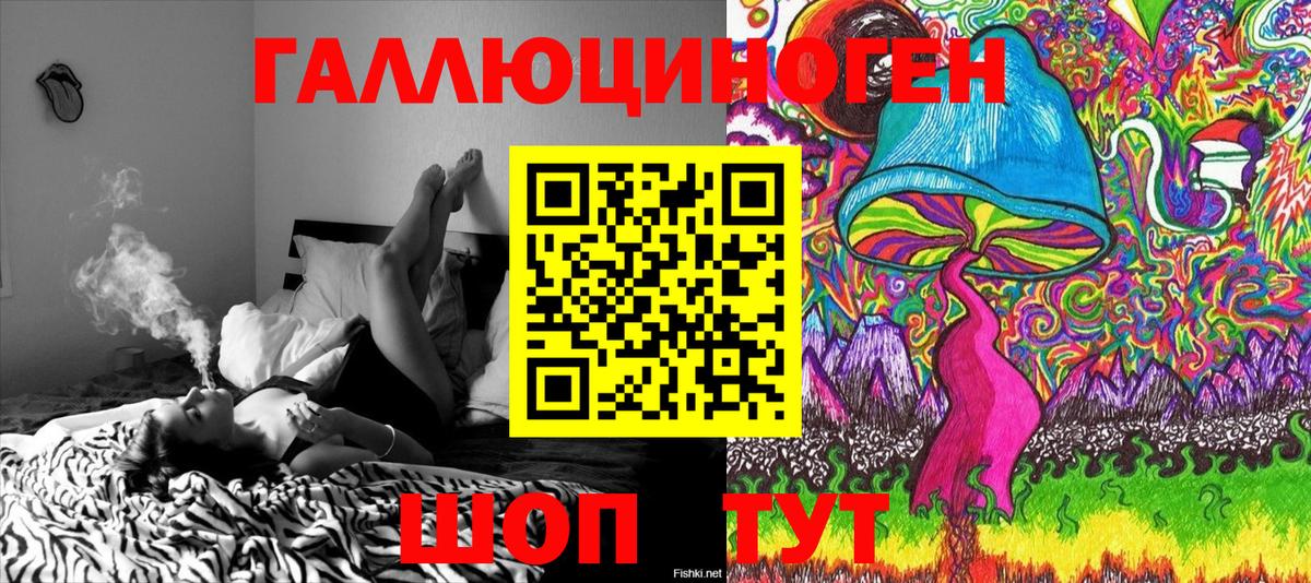 Новороссийск  наркошоп  Вход с VPN  Псилоцибиновые грибы MAGIC MUSHROOMS 